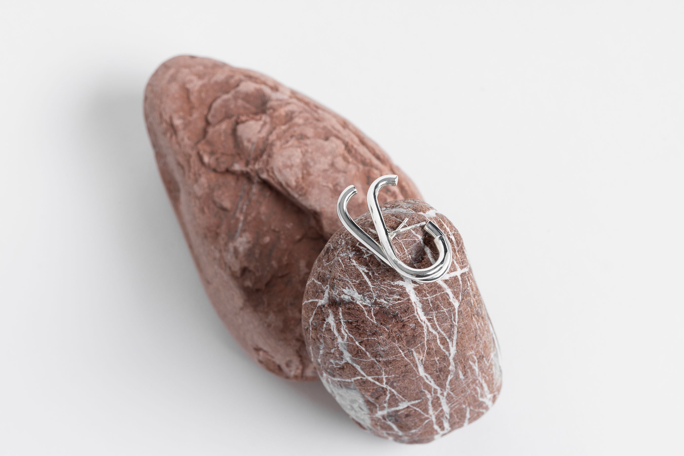 Hooke Large Earrings